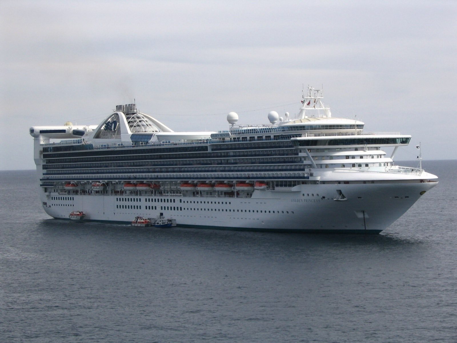 Cruises