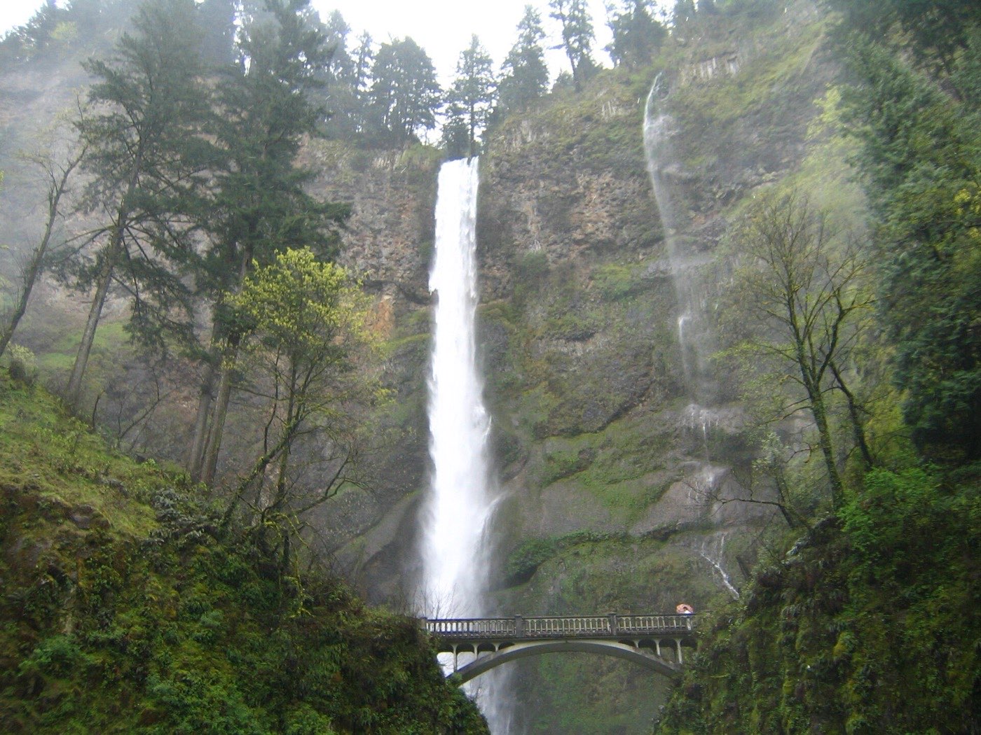 Pacific Northwest