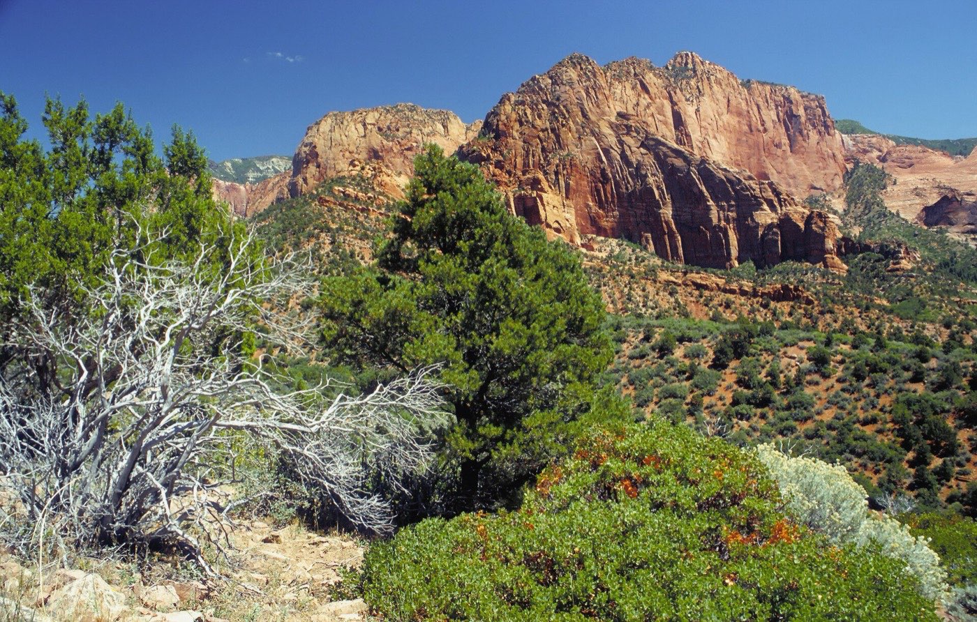 Utah National Parks