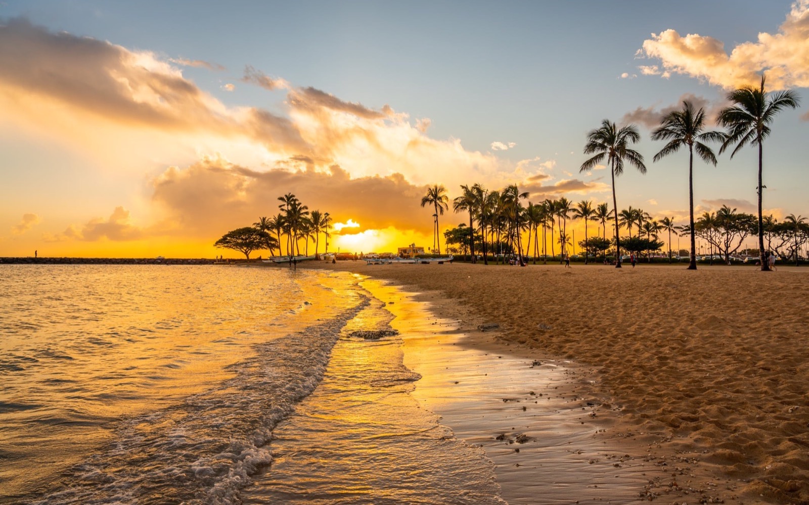 The Twin Fin — kamaʻāina rate