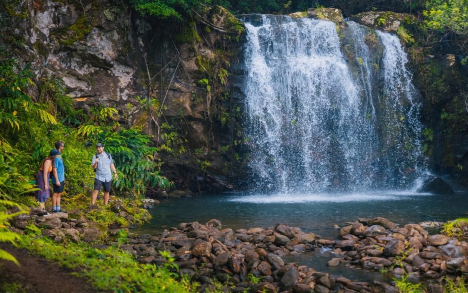 Hawaii Forest & Trail — kamaʻāina rate