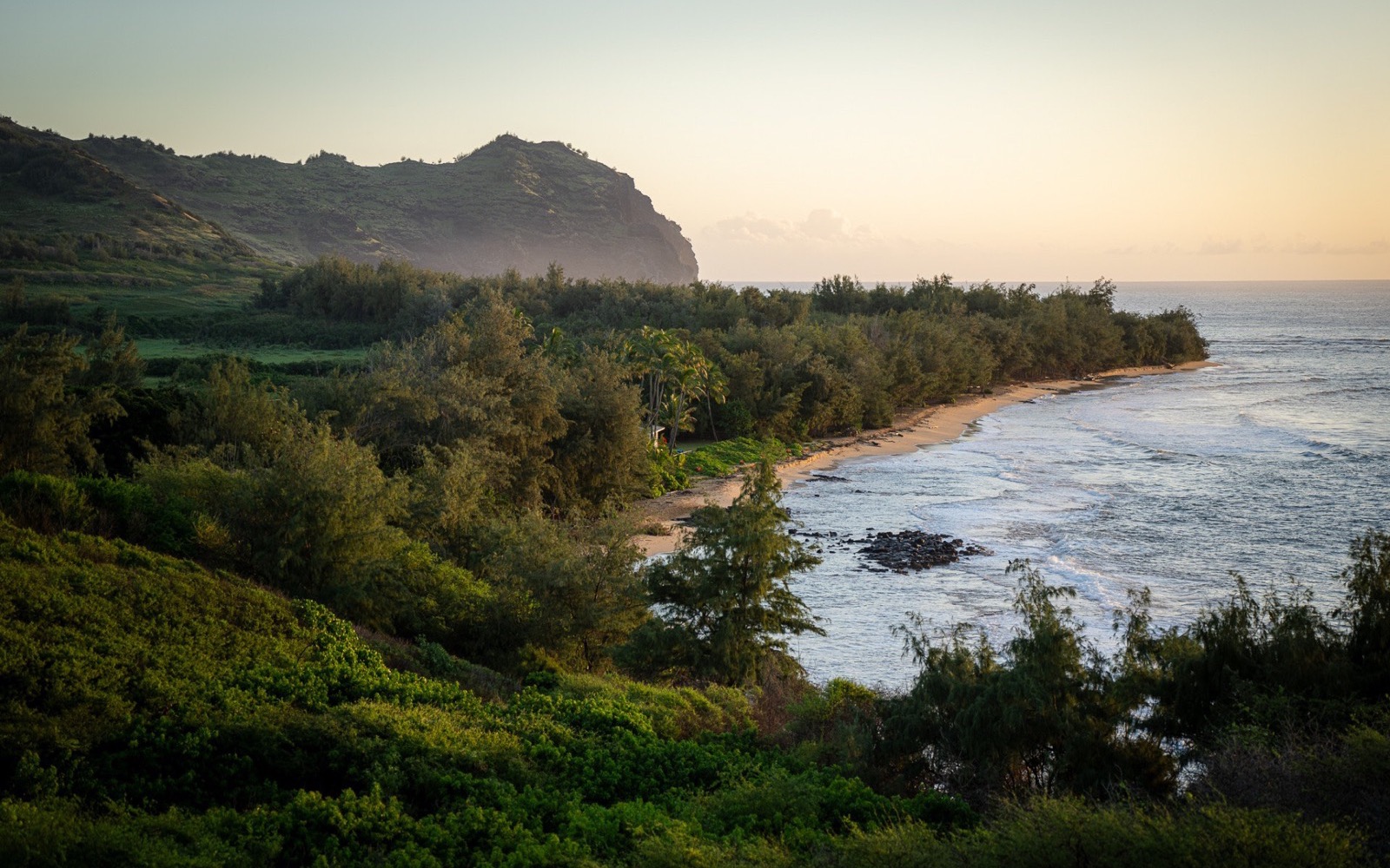 Aloha with Touch Kauai — kamaʻāina rate
