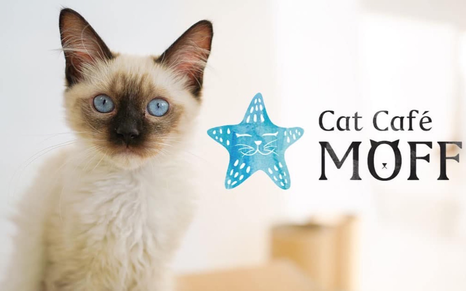Cat Café Moff — kamaʻāina rate